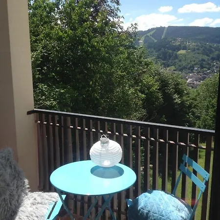 Les Dryades B2, Vue Apartman Gérardmer