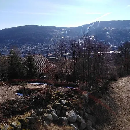 Les Dryades B2, Vue Gérardmer