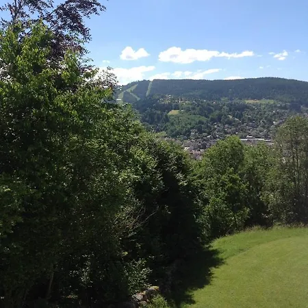 Apartman Les Dryades B2, Vue *